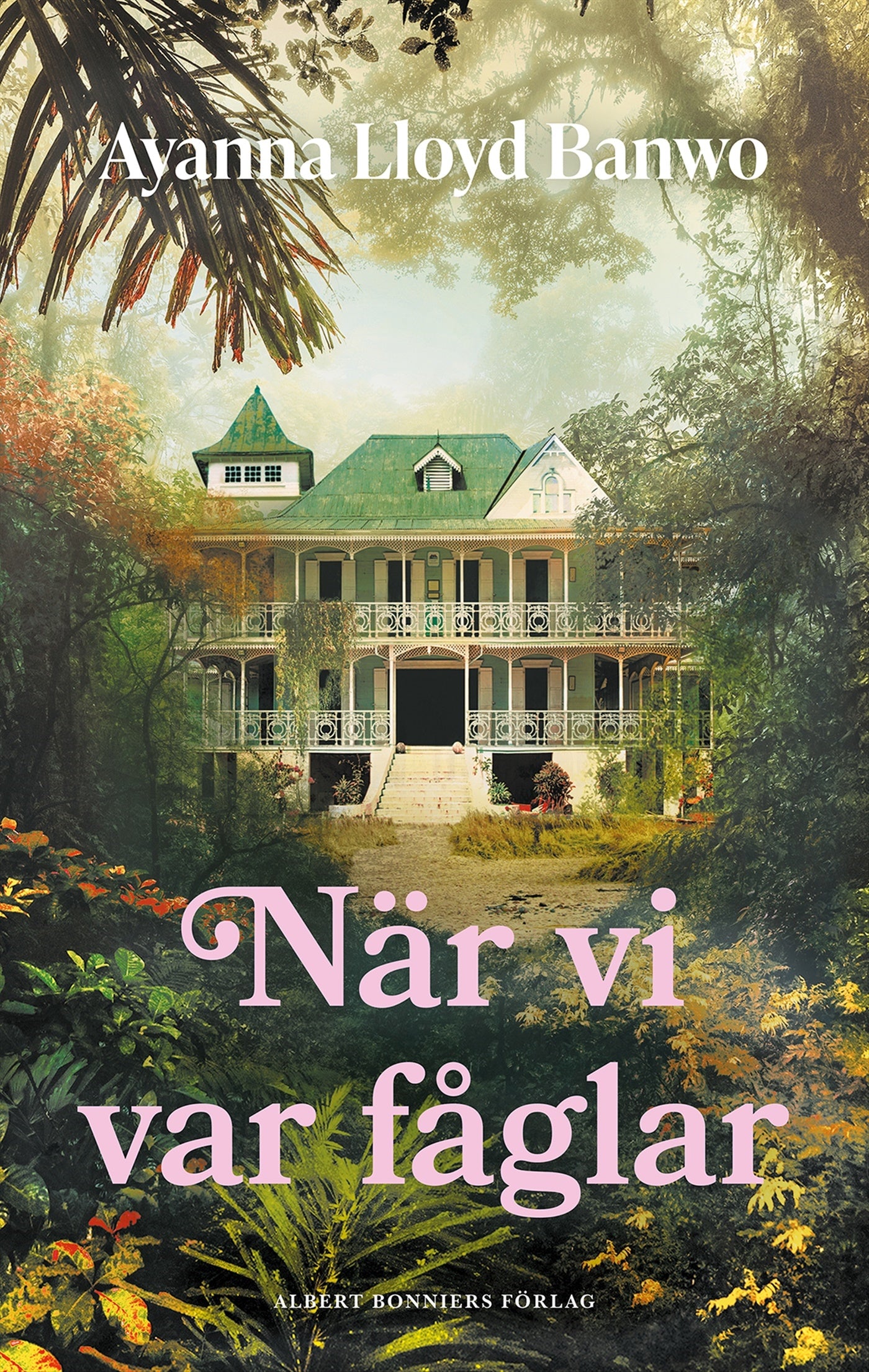 När vi var fåglar - Ayanna Lloyd Banwo