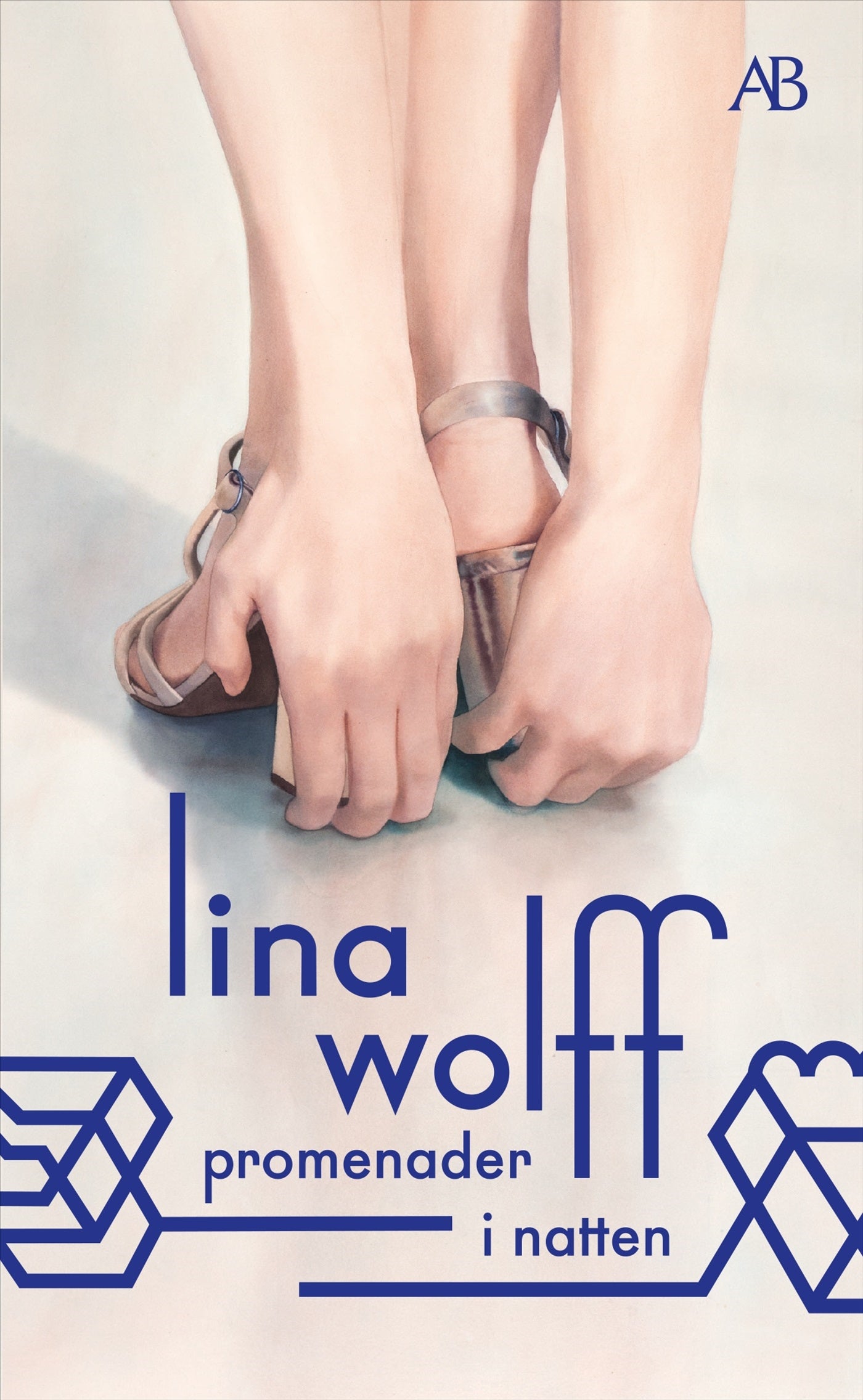 Promenader i natten - Lina Wolff