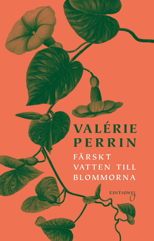Färskt vatten till blommorna - Valérie Perrin