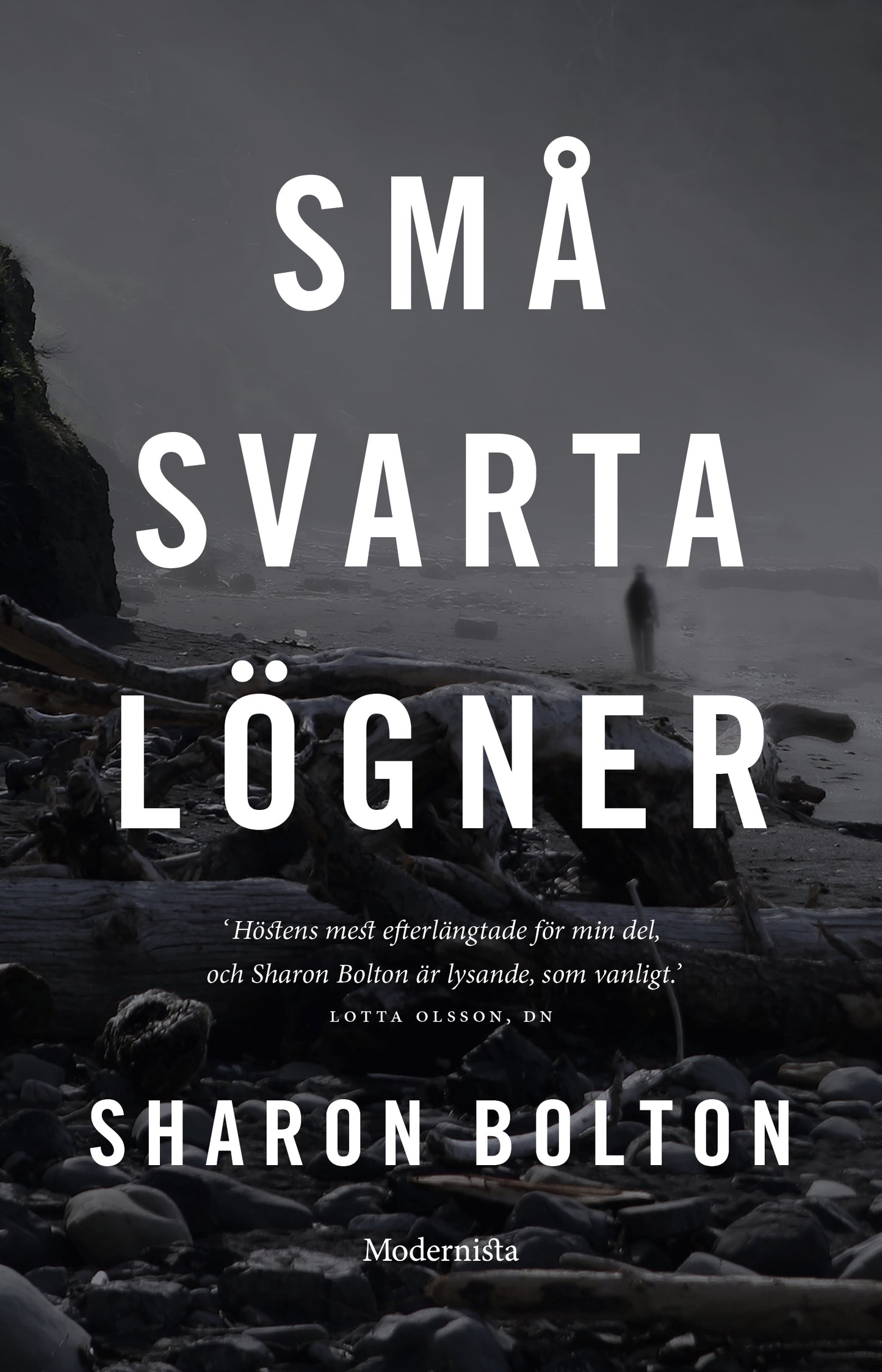 Små svarta lögner - Sharon Bolton