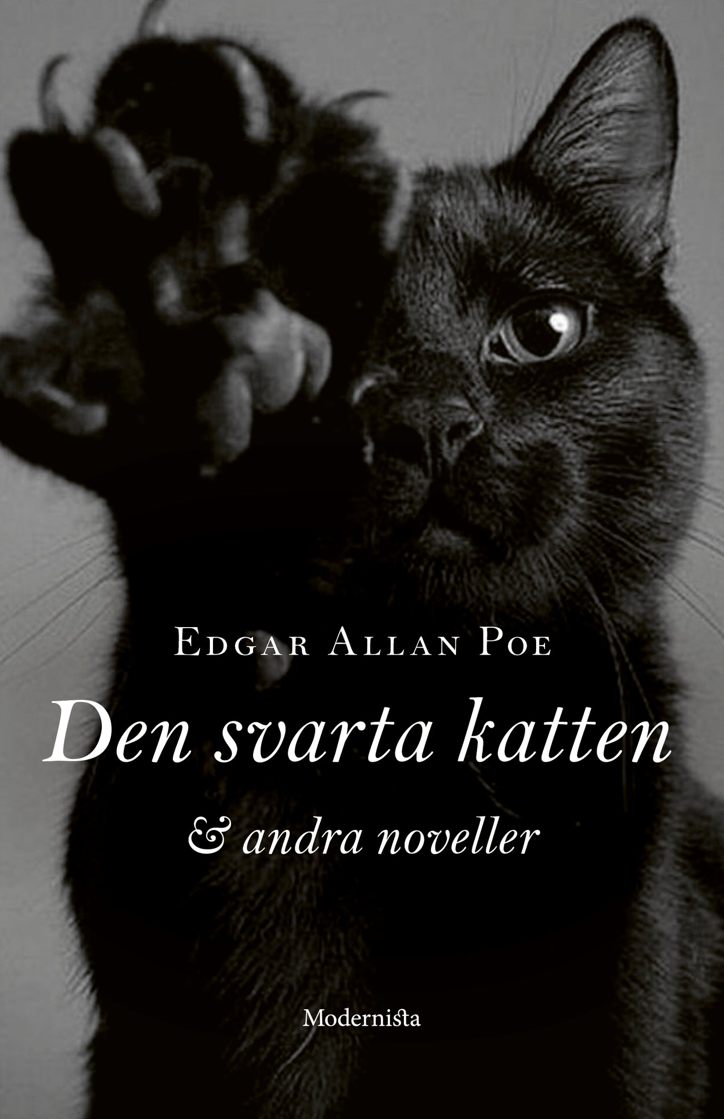 Den svarta katten och andra noveller - Edgar Allan Poe