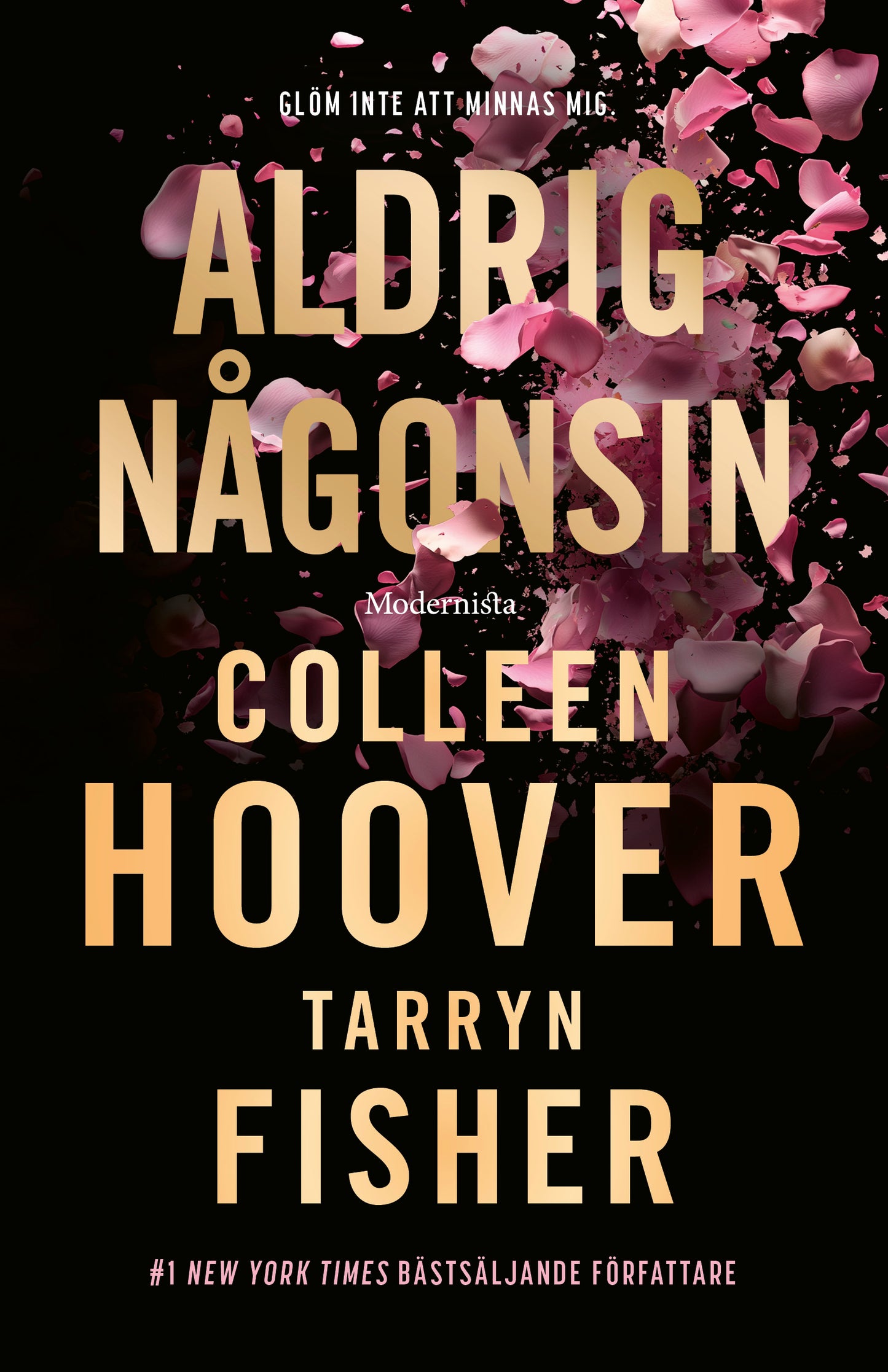 Aldrig någonsin - Colleen Hoover & Tarryn Fisher