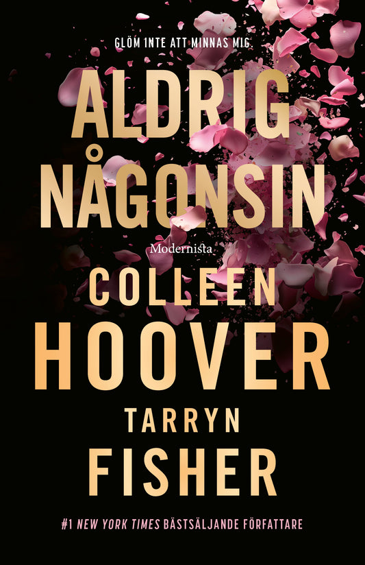 Aldrig någonsin - Colleen Hoover & Tarryn Fisher