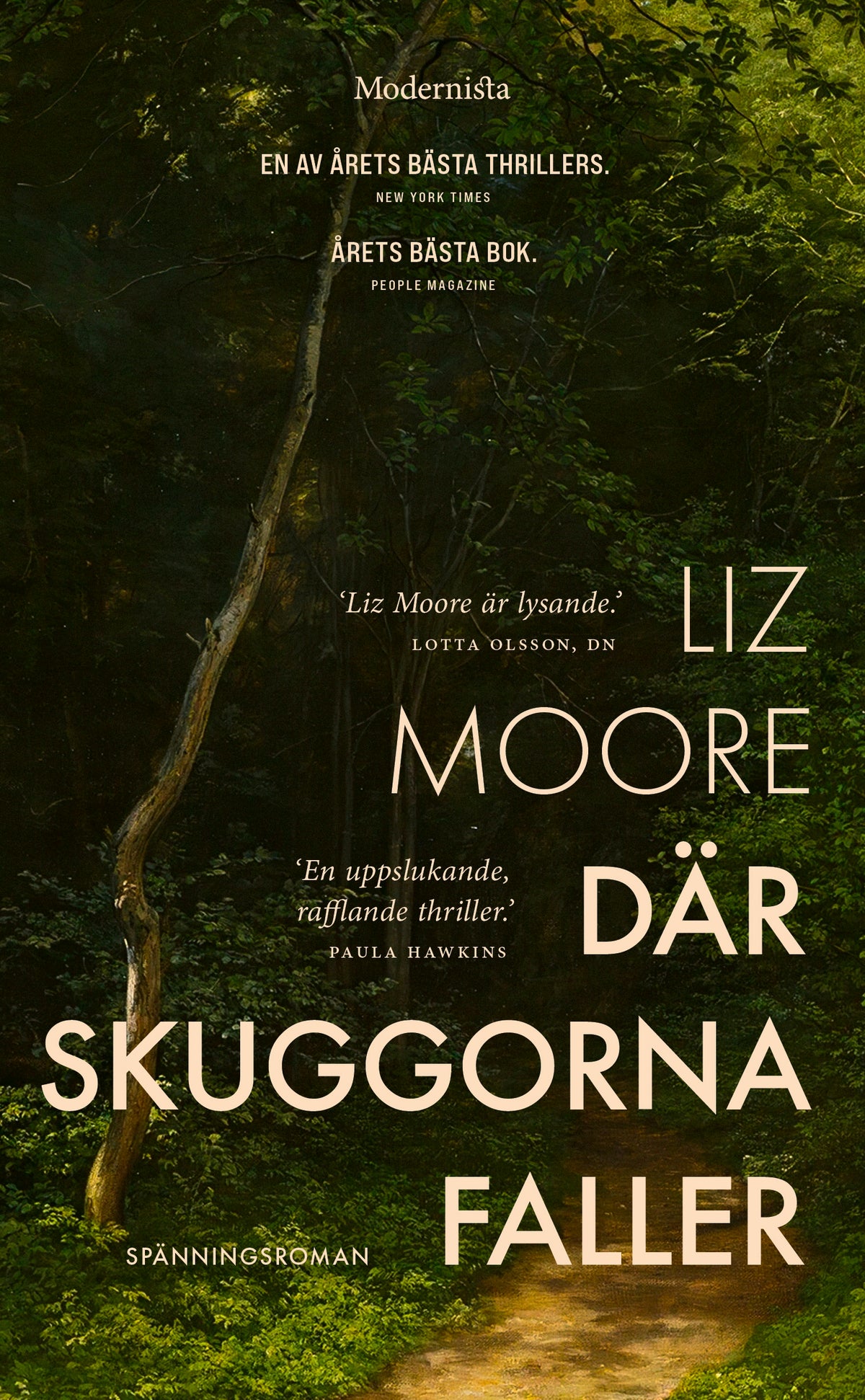 Där skuggorna faller - Liz Moore