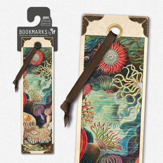 Vintage Bookmarks - Anemone