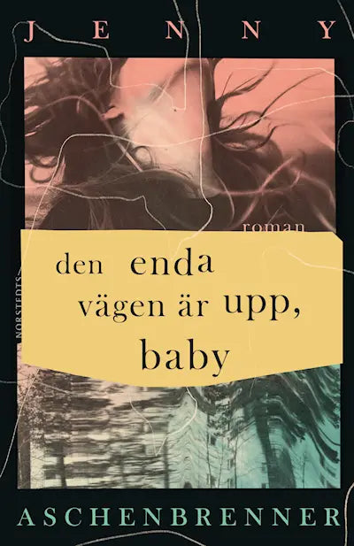 Den enda vägen är upp, baby - Jenny Aschenbrenner