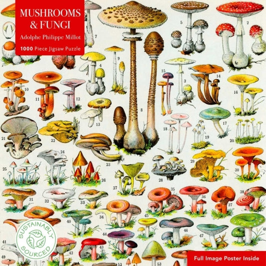 Flame Tree Sustainable Jigsaw Puzzle Mushrooms & Fungi 1000-pieces