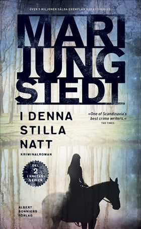 I denna stilla natt - Mari Jungstedt