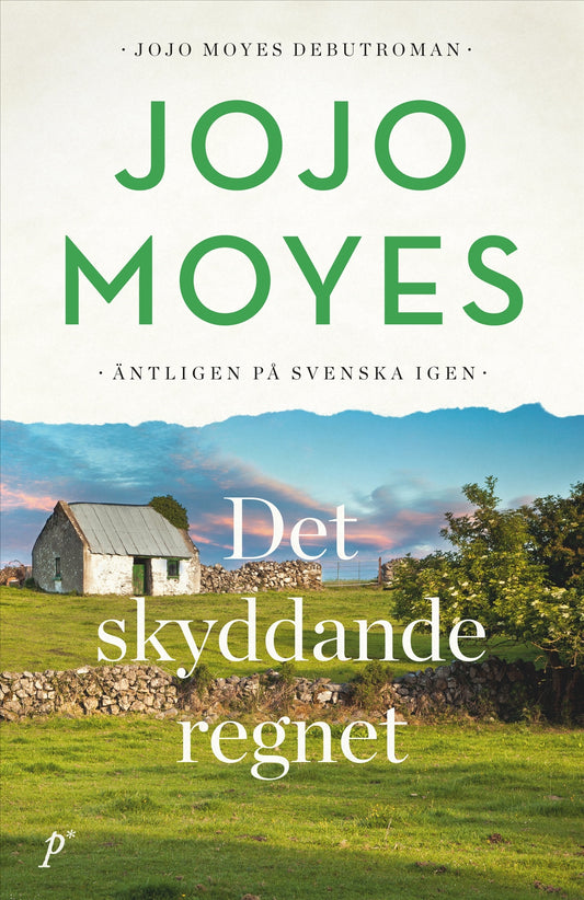 Det skyddande regnet - Jojo Moyes