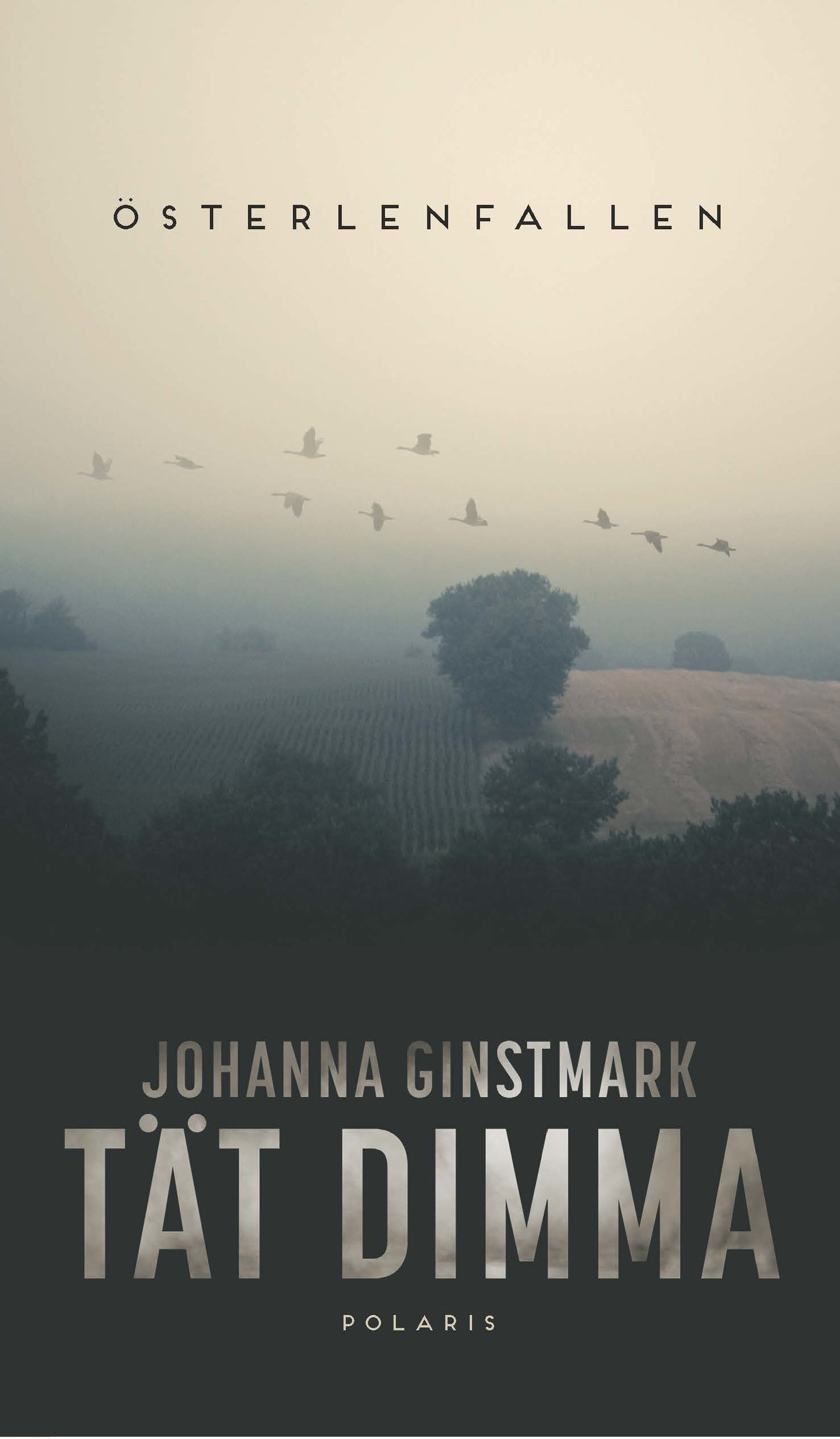 Tät dimma - Johanna Ginstmark