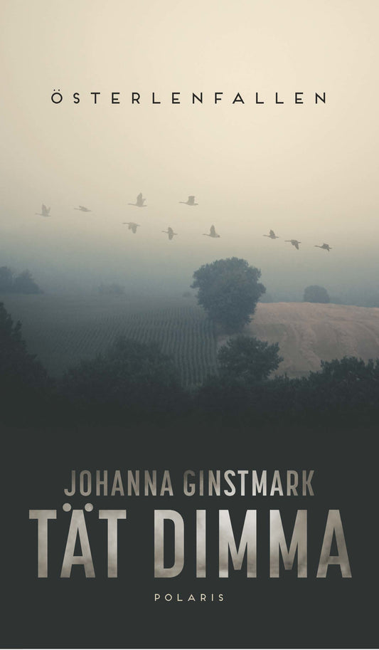 Tät dimma - Johanna Ginstmark