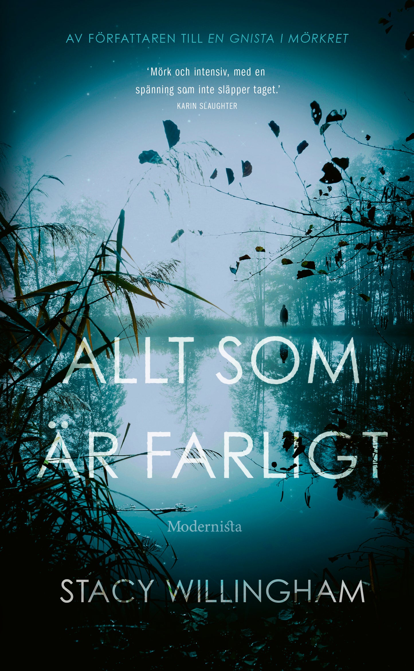 Allt som är farligt - Stacy Willingham