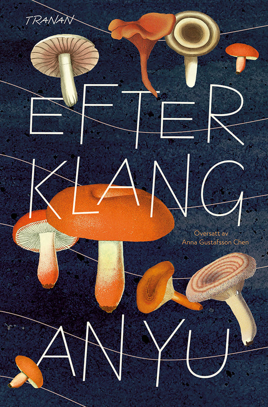 Efterklang - An Yu