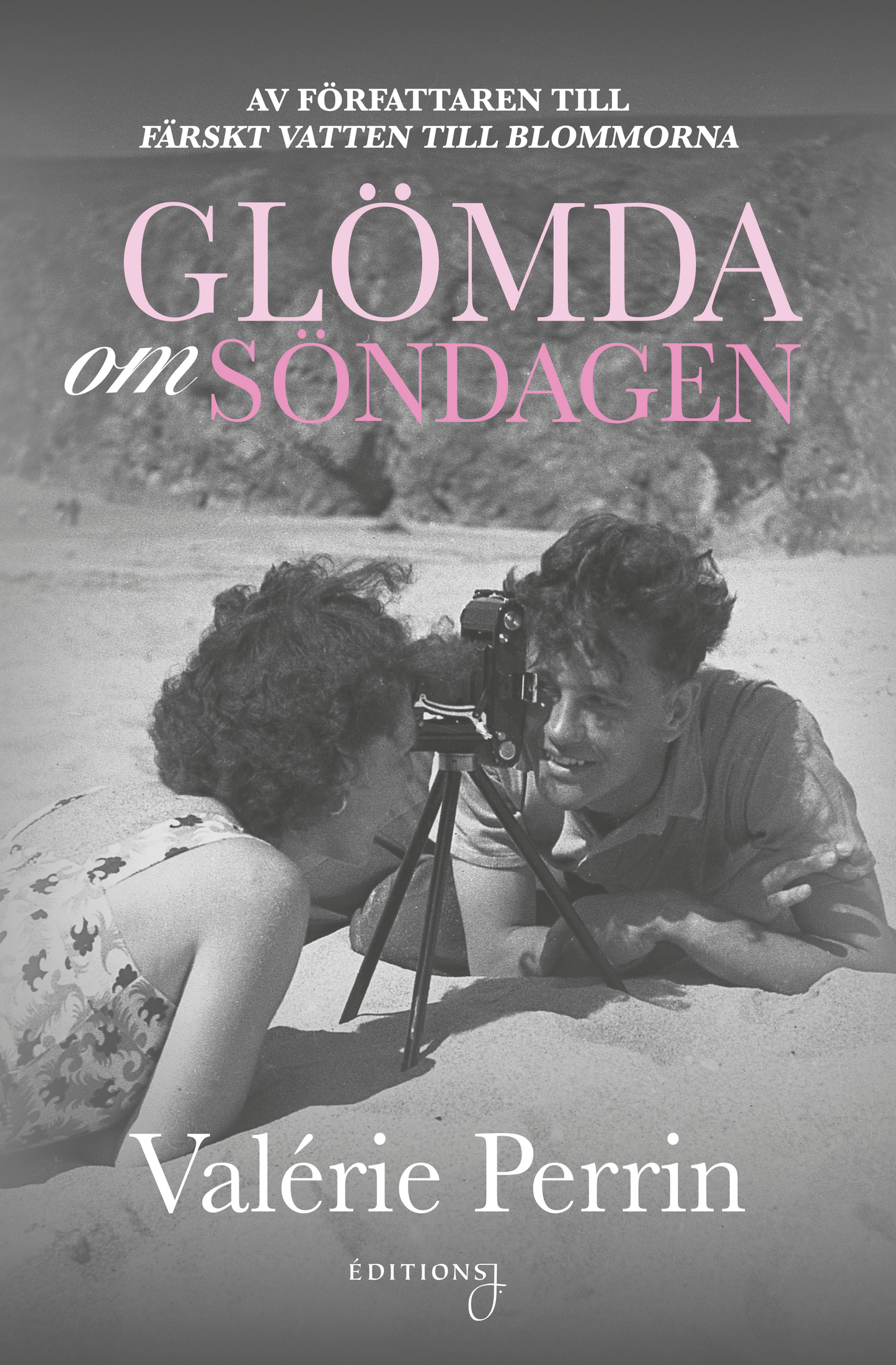 Glömda om söndagen - Valérie Perrin